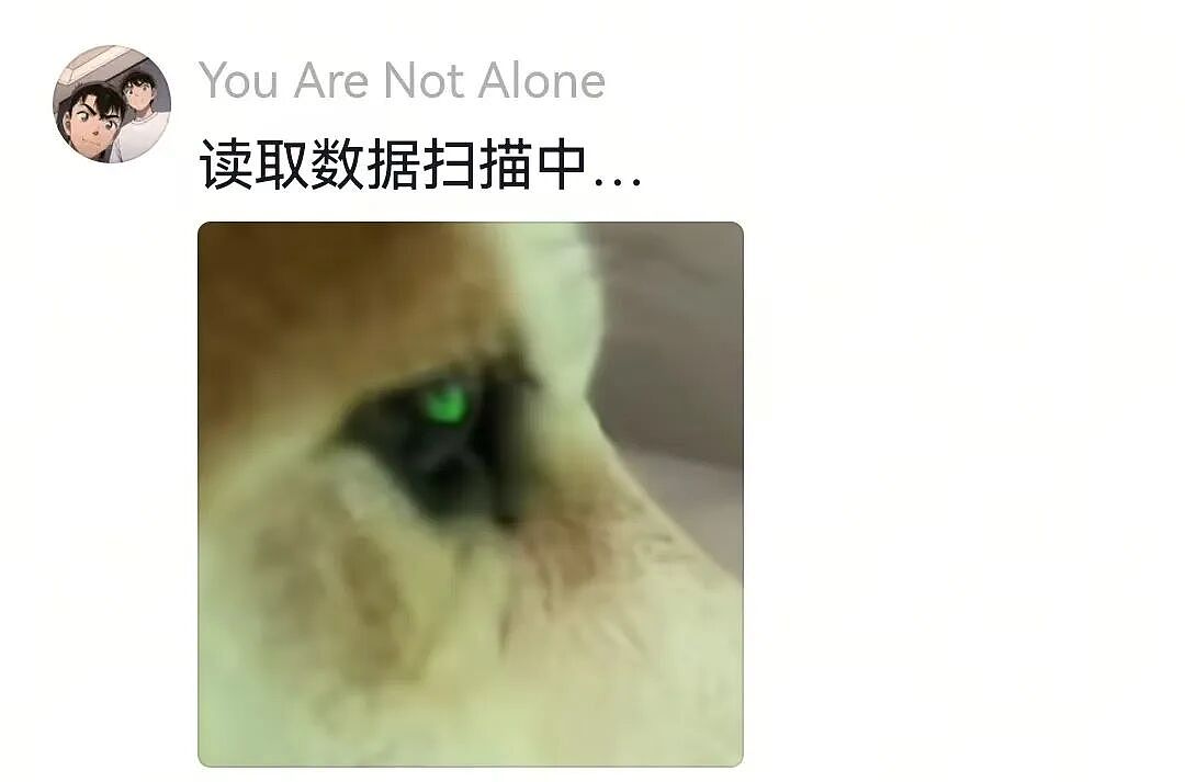 【宠物】杜宾冲边牧大吼大叫，边牧非但不生气，还露出个神秘微笑：再嚷嚷就把你骗出去卖了（组图） - 14