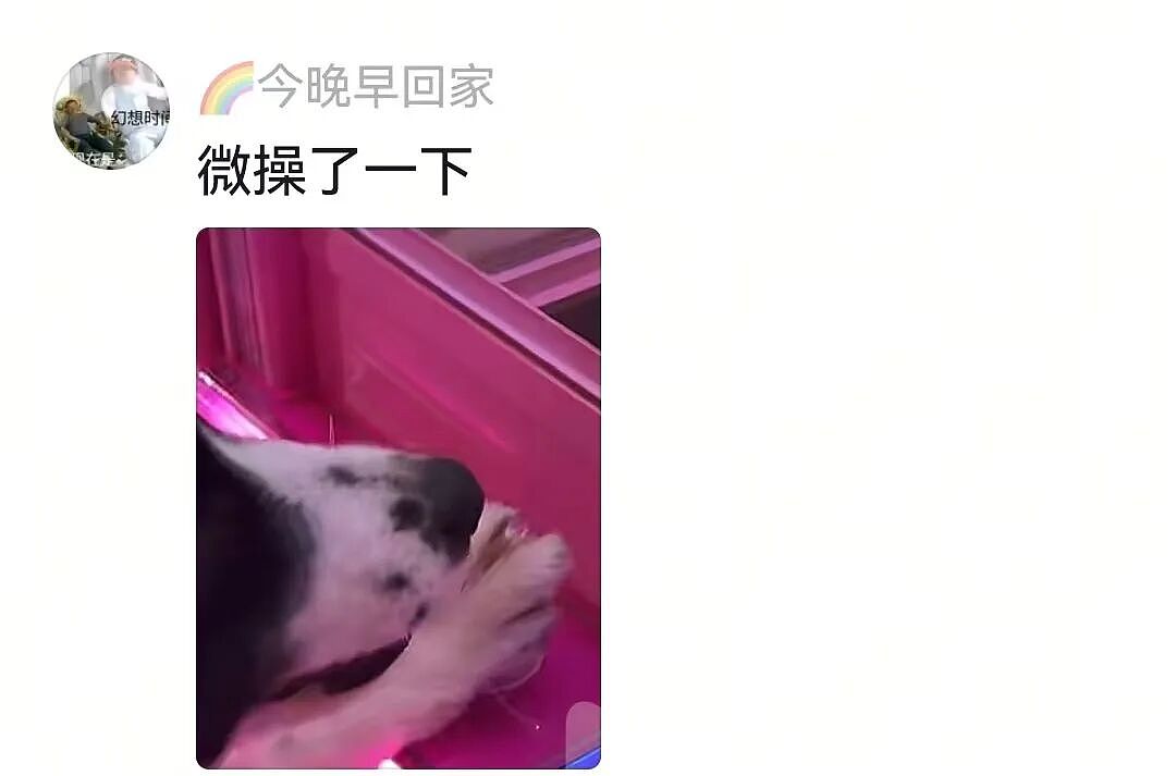 【宠物】杜宾冲边牧大吼大叫，边牧非但不生气，还露出个神秘微笑：再嚷嚷就把你骗出去卖了（组图） - 9