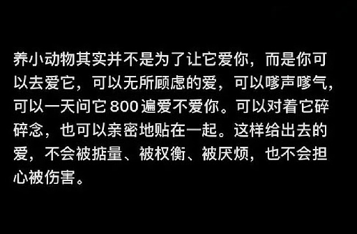【爆笑】异地恋男友突然查我手机,看我有没有出轨?网友夺笋:哈哈哈场面有点刺激!(组图) - 29