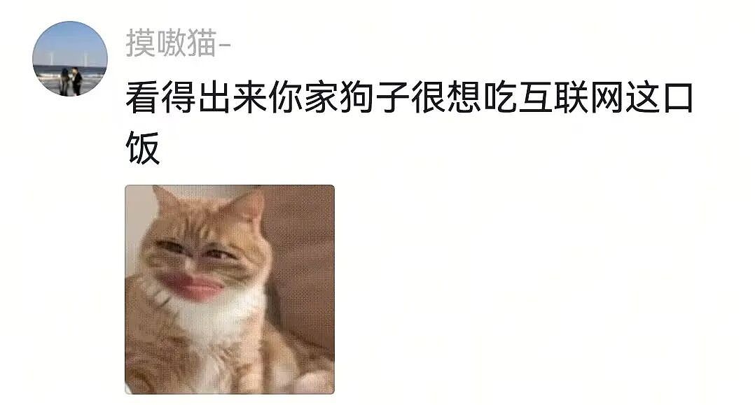 【宠物】杜宾冲边牧大吼大叫，边牧非但不生气，还露出个神秘微笑：再嚷嚷就把你骗出去卖了（组图） - 12