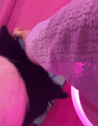 【宠物】杜宾冲边牧大吼大叫，边牧非但不生气，还露出个神秘微笑：再嚷嚷就把你骗出去卖了（组图） - 8