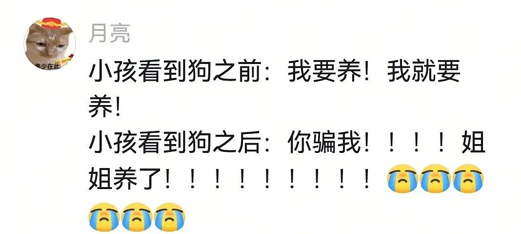 【宠物】杜宾冲边牧大吼大叫，边牧非但不生气，还露出个神秘微笑：再嚷嚷就把你骗出去卖了（组图） - 18