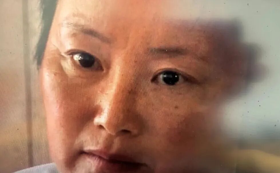 华人女子新西兰买庄园，建立封闭社区！成员闹事只为被遣返，二十年来首次披露（组图） - 1