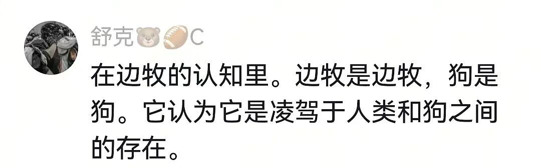 【宠物】杜宾冲边牧大吼大叫，边牧非但不生气，还露出个神秘微笑：再嚷嚷就把你骗出去卖了（组图） - 4
