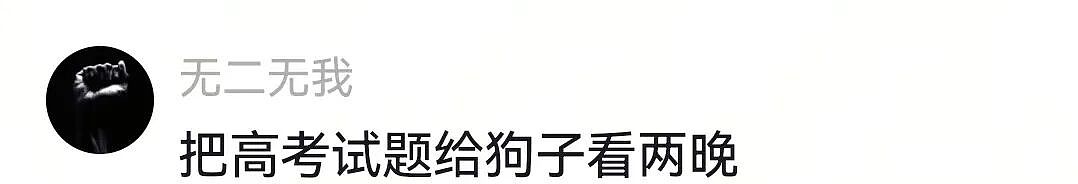 【宠物】杜宾冲边牧大吼大叫，边牧非但不生气，还露出个神秘微笑：再嚷嚷就把你骗出去卖了（组图） - 13