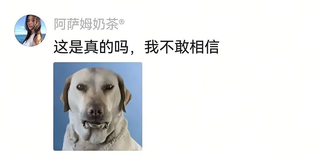 【宠物】杜宾冲边牧大吼大叫，边牧非但不生气，还露出个神秘微笑：再嚷嚷就把你骗出去卖了（组图） - 17