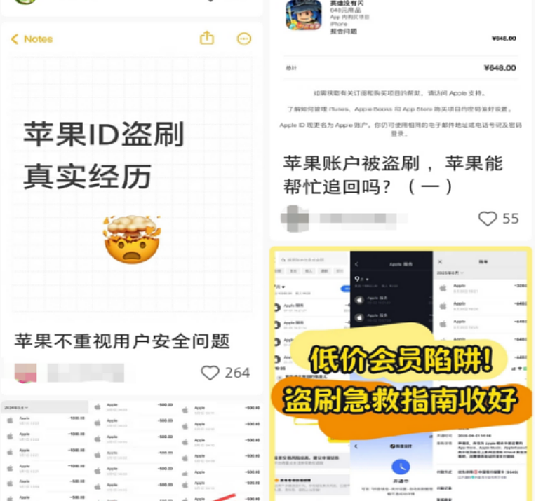 大量苹果用户中招,手机秒变别人的“提款机”(组图) - 10