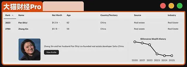 抄底！潘石屹夫妇用356亿给美国上了一课（组图） - 3