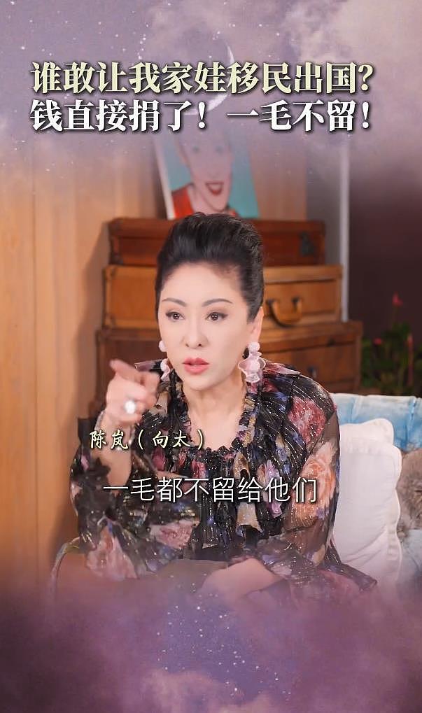 向太陈岚不准子女去美国读书:如果他们敢去,我把钱捐了(组图) - 7