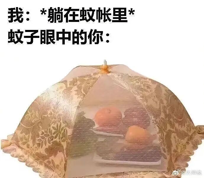 【爆笑】对象曾经送我400一克金子要我按900一克还他…?啊啊啊合着拿你当储蓄银行了(组图) - 52