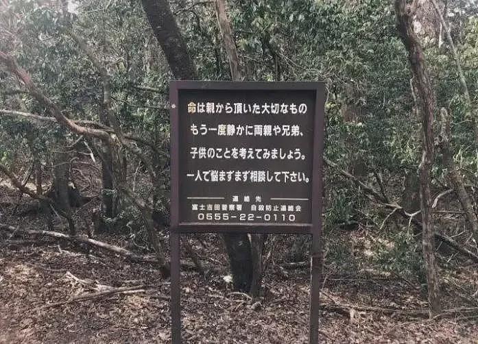 中国女留学生东京失联！曾询“自杀森林”，母亲赴日寻女（组图） - 5