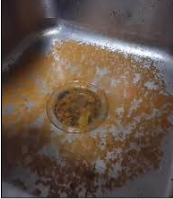 极具破坏性！澳洲水务：火锅汤底别乱倒下水道（组图） - 4