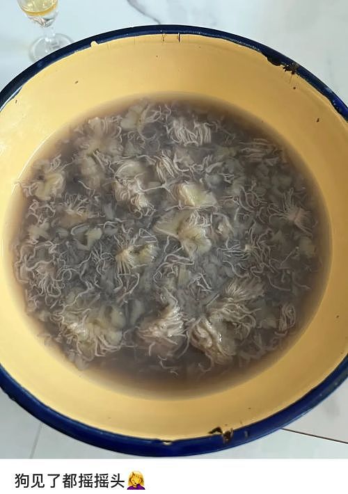 原来,比预制菜更危险的,是自己做饭(组图) - 40