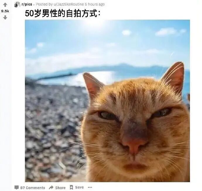 【爆笑】对象曾经送我400一克金子要我按900一克还他…?啊啊啊合着拿你当储蓄银行了(组图) - 53