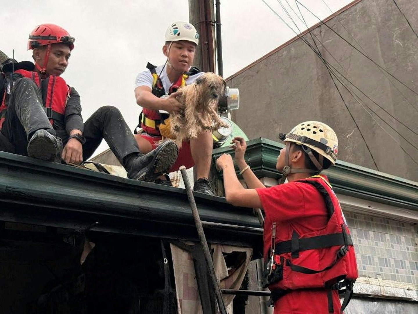 台风海鸥袭菲律宾增至46死，包括救灾军机坠毁6人罹难（视频/组图） - 7