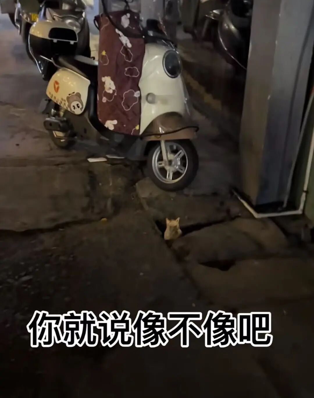 【爆笑】对象曾经送我400一克金子要我按900一克还他…?啊啊啊合着拿你当储蓄银行了(组图) - 43