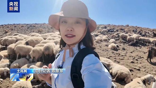 土耳其月薪两三万招不到放羊人：与世隔绝，非常孤独（组图） - 4