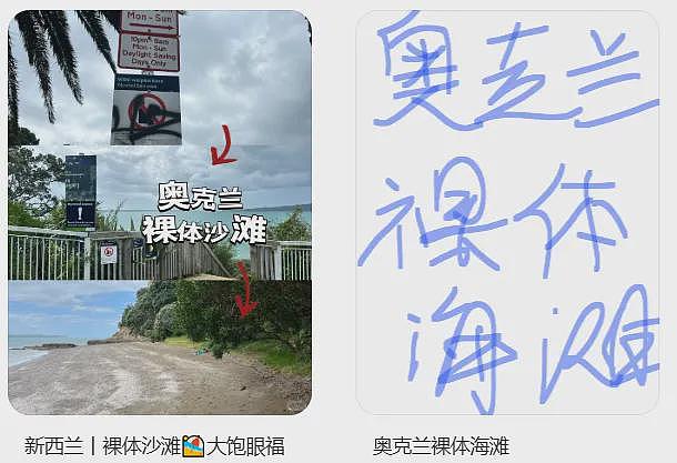 新西兰高档社区“辣眼一幕”!有人全裸骑车出街,路人看傻眼,4辆警车出动(组图) - 7