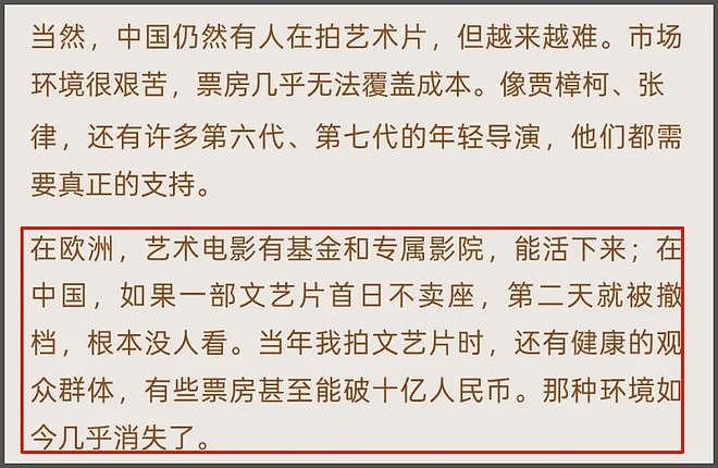 范冰冰感叹国产片遇冷,称中国电影缺乏多样性,拿欧洲对比惹争议(组图) - 7