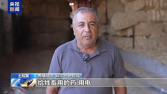 土耳其月薪两三万招不到放羊人：与世隔绝，非常孤独（组图） - 8