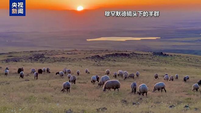 土耳其月薪两三万招不到放羊人：与世隔绝，非常孤独（组图） - 6
