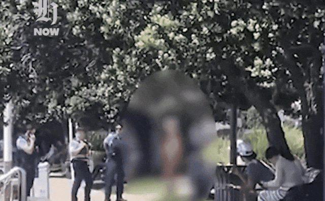 新西兰高档社区“辣眼一幕”!有人全裸骑车出街,路人看傻眼,4辆警车出动(组图) - 2