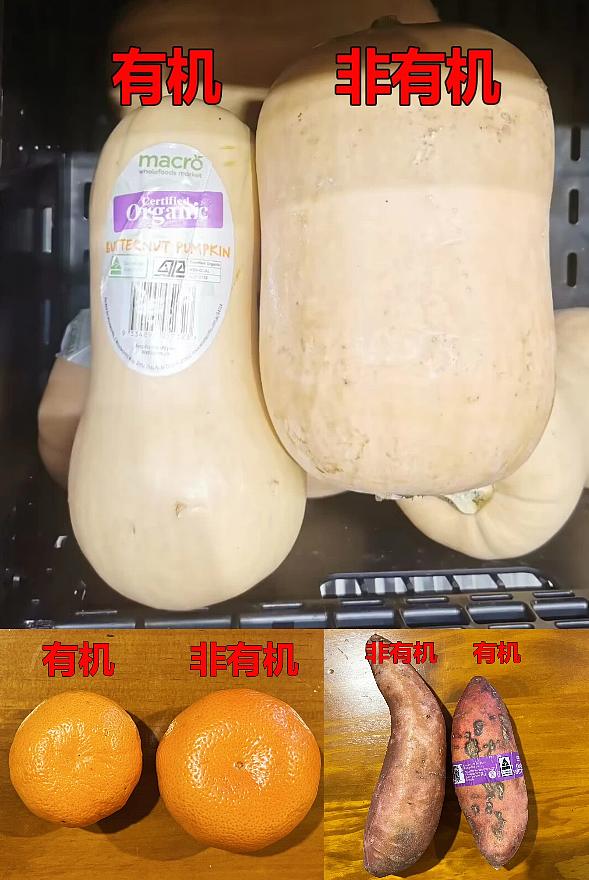 断食抗衰?与其16+8,不如15+9!(组图) - 12