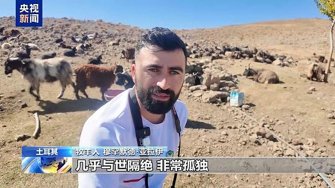 土耳其月薪两三万招不到放羊人：与世隔绝，非常孤独（组图） - 5