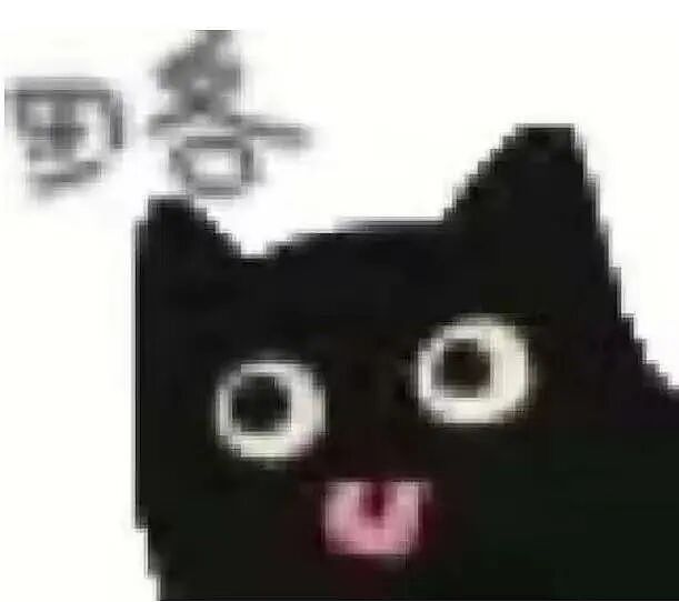 【宠物】店主好心捡了一只流浪三色猫，没想到居然赚了11个亿！这就是身价最高的小猫吗（组图） - 1