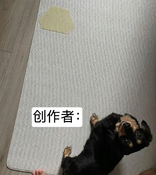 【爆笑】男朋友老给我发这种视频是不是在暗示我？？网友迷惑：这已经算明示了吧（组图） - 59