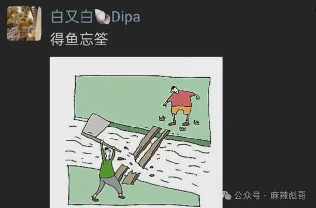 撕了三天,白百何这瓜是真热闹啊(组图) - 4