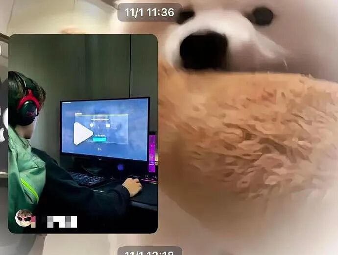 【爆笑】男朋友老给我发这种视频是不是在暗示我？？网友迷惑：这已经算明示了吧（组图） - 4