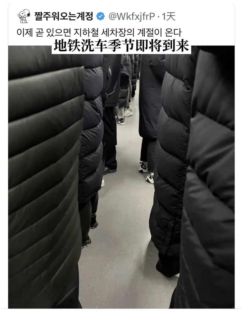 今年冬天流行穿得跟皮皮虾一样，我奶同款“排骨羽绒服”又让韩女穿成潮人标配了？（组图） - 9