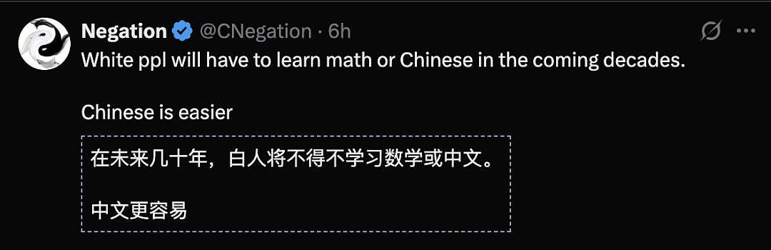 Meta华人太多了，外国员工崩溃：不懂中文就像局外人（组图） - 10