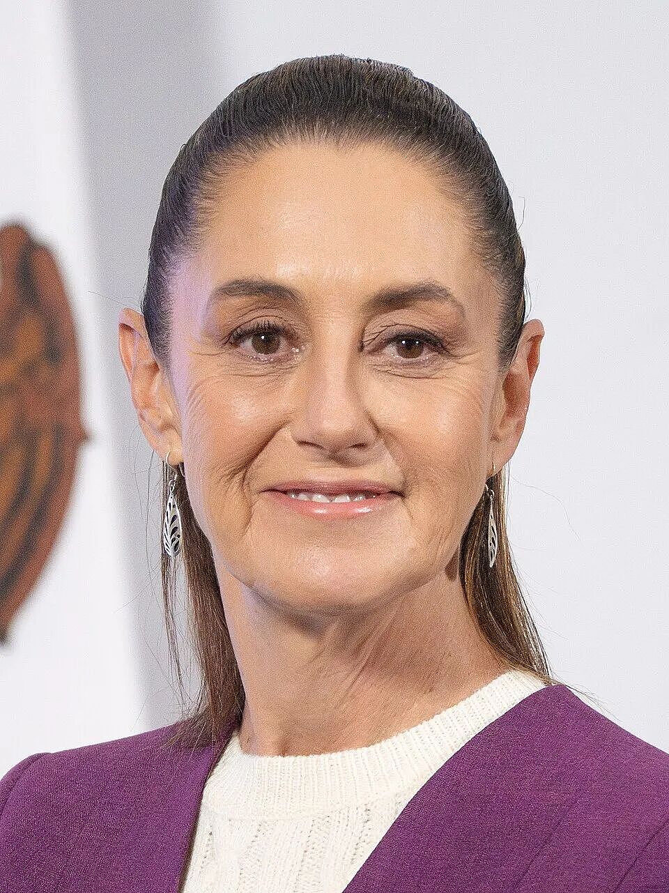 墨西哥女总统当街遭遇咸猪手，差点被强吻！事后起诉：为了墨西哥所有女性（组图） - 6