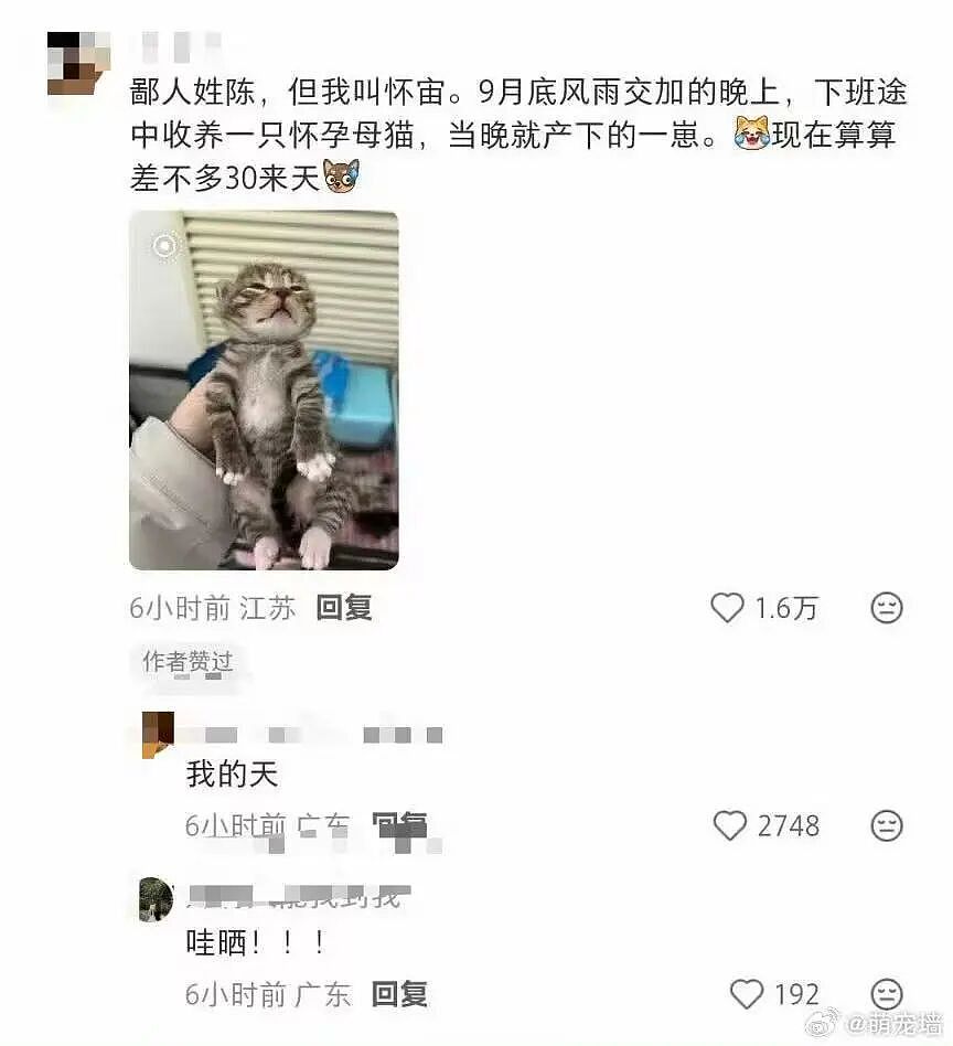 【爆笑】职场被穿小鞋后跟领导表白了…哈哈哈此招虽险但这也太险了（组图） - 46