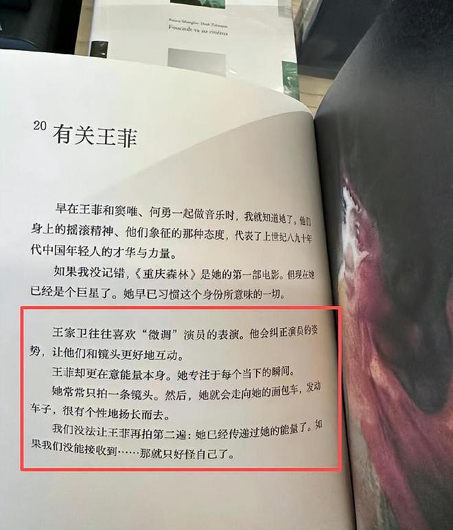 “很装”的王菲,把王家卫的“看人下菜碟”,展现的淋漓尽致(组图) - 15