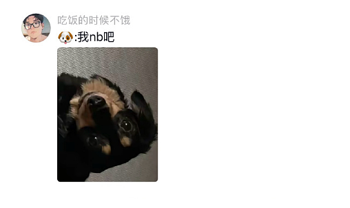 【爆笑】男朋友老给我发这种视频是不是在暗示我？？网友迷惑：这已经算明示了吧（组图） - 60