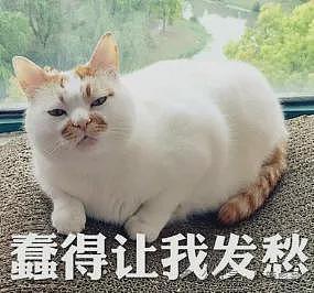 撕了三天,白百何这瓜是真热闹啊(组图) - 44