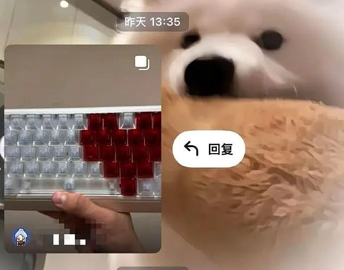 【爆笑】男朋友老给我发这种视频是不是在暗示我？？网友迷惑：这已经算明示了吧（组图） - 7