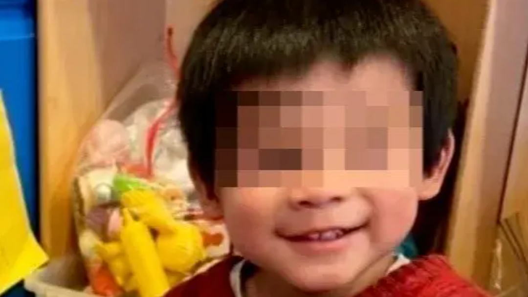 正义何在？3岁华裔男童被撞死，涉事男子过失杀人罪不成立，仅判轻罪（组图） - 1