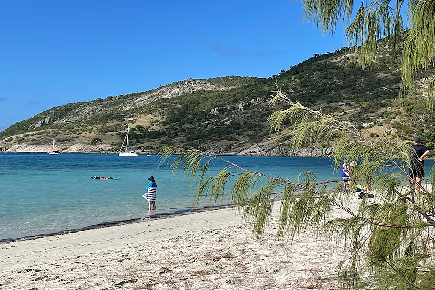 惨!澳洲贵妇坐豪华邮轮被忘在无人岛,发现时人早没了……(组图) - 5