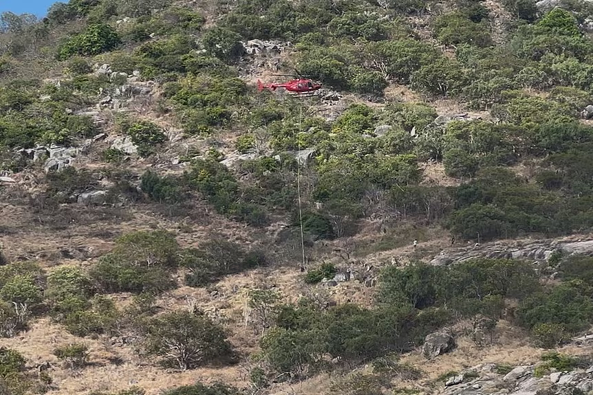 惨!澳洲贵妇坐豪华邮轮被忘在无人岛,发现时人早没了……(组图) - 9