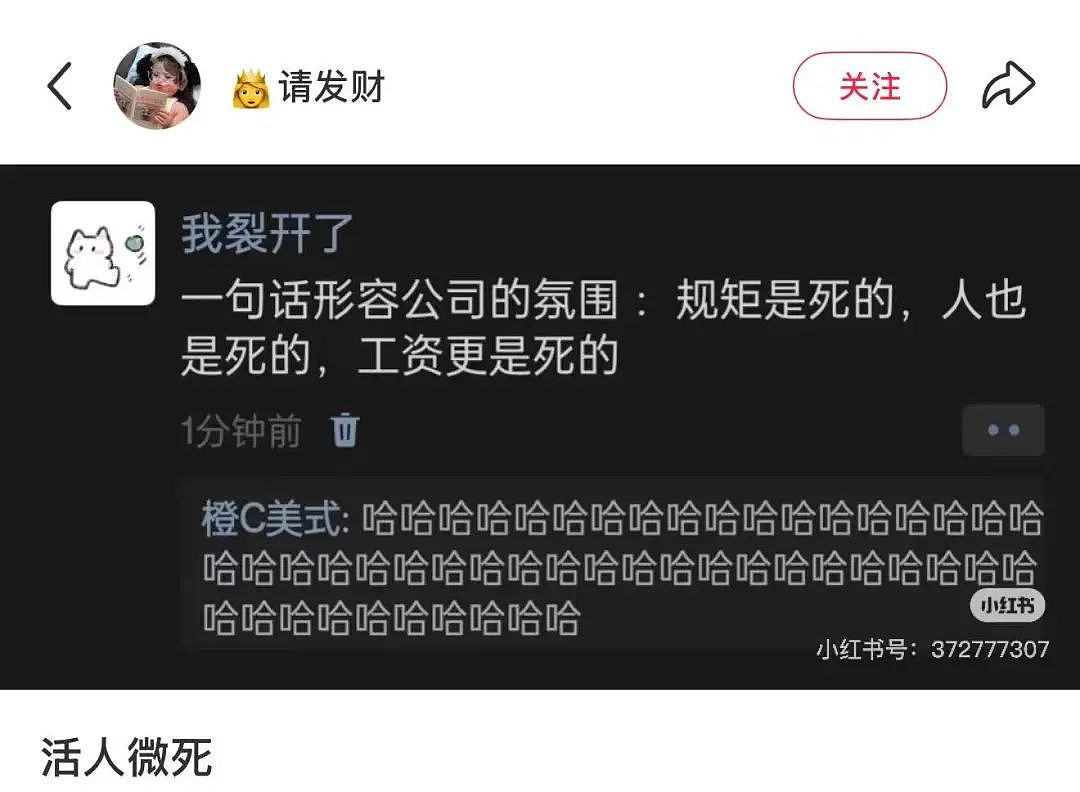 【爆笑】“网友：哪来的古风老娘啊！” 哈哈哈哈哈被网友评论笑晕过去（组图） - 77