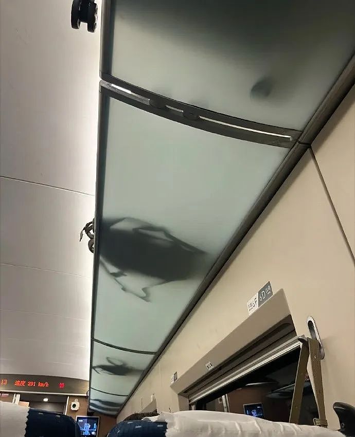 【爆笑】“表情包的出处能有多离谱？？”哈哈哈哈哈哈神经病啊！（组图） - 51