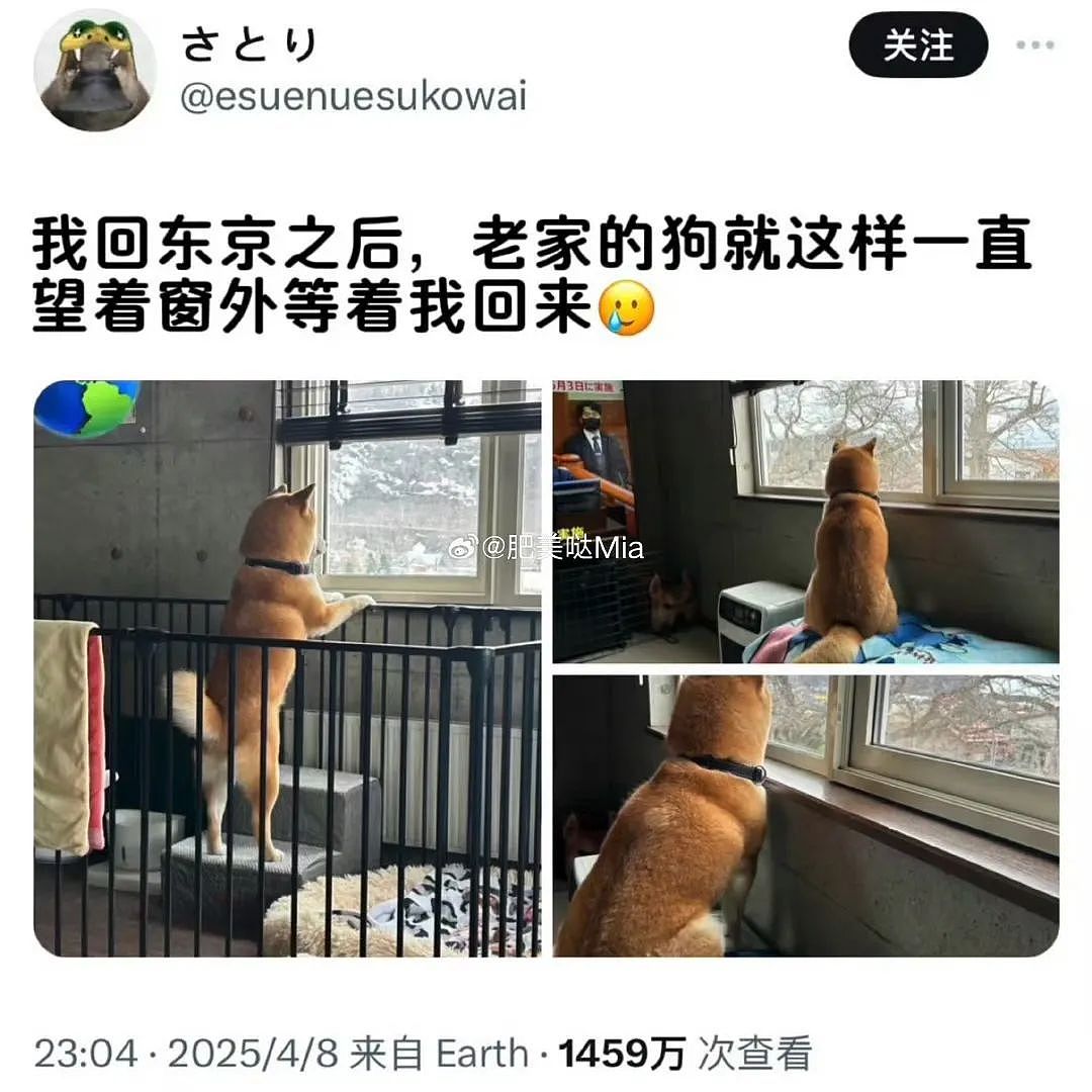 【爆笑】“网友：哪来的古风老娘啊！” 哈哈哈哈哈被网友评论笑晕过去（组图） - 9