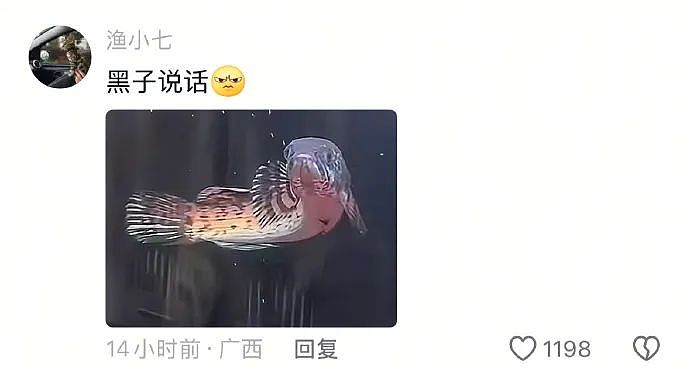 【爆笑】“表情包的出处能有多离谱？？”哈哈哈哈哈哈神经病啊！（组图） - 75