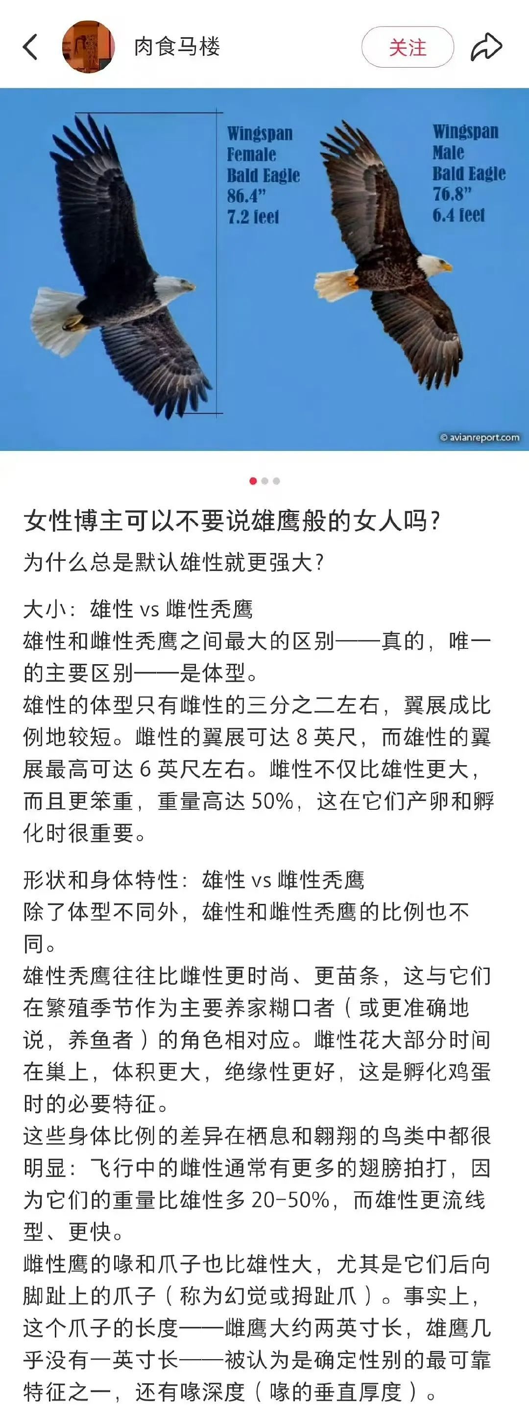 【爆笑】“网友：哪来的古风老娘啊！” 哈哈哈哈哈被网友评论笑晕过去（组图） - 28