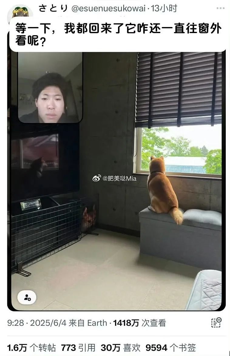 【爆笑】“网友：哪来的古风老娘啊！” 哈哈哈哈哈被网友评论笑晕过去（组图） - 12