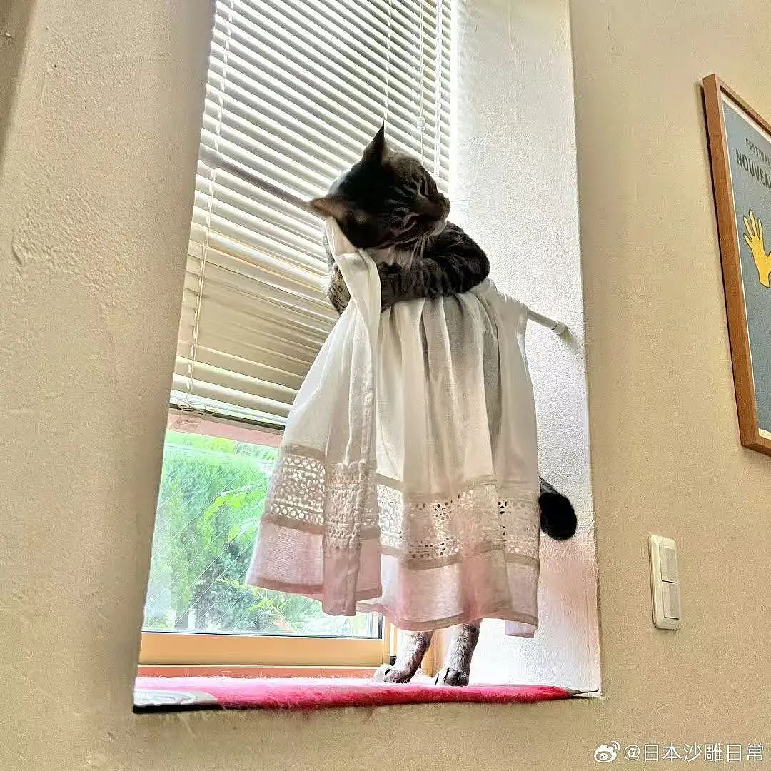 【爆笑】“网友：哪来的古风老娘啊！” 哈哈哈哈哈被网友评论笑晕过去（组图） - 67